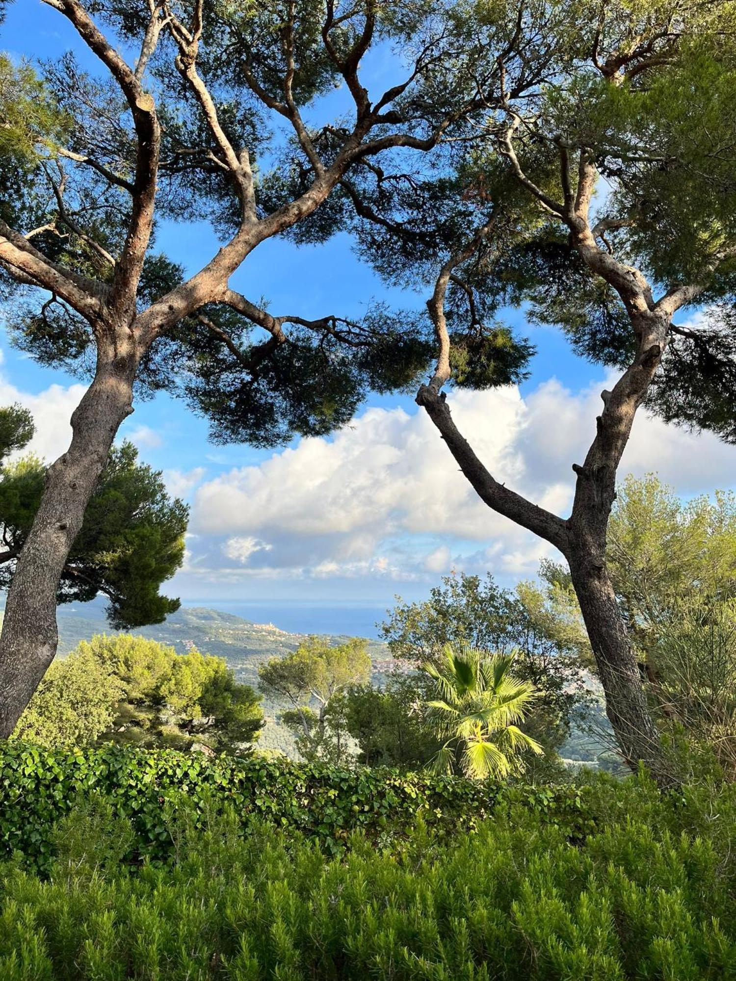 Casa Merea 16 Costa d'Oneglia Extérieur photo